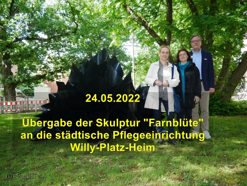 2022/20220524 Willy-Platz-Heim Farnbluete/index.html